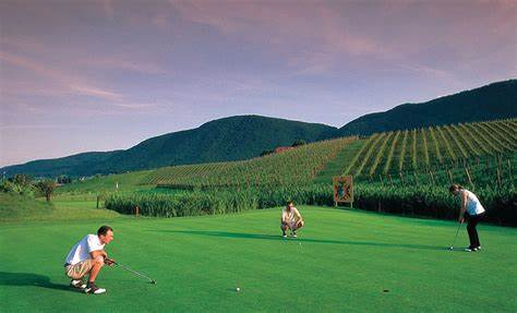 正在打高尔夫球的爱好者(图源:selectbox.hr)